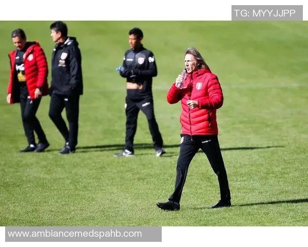 秘鲁足球明星盘点他们在国际赛场上的辉煌成就与影响力