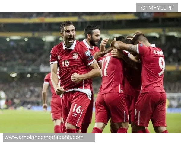 黑山足球明星盘点他们在国际赛场上的辉煌成就与影响力