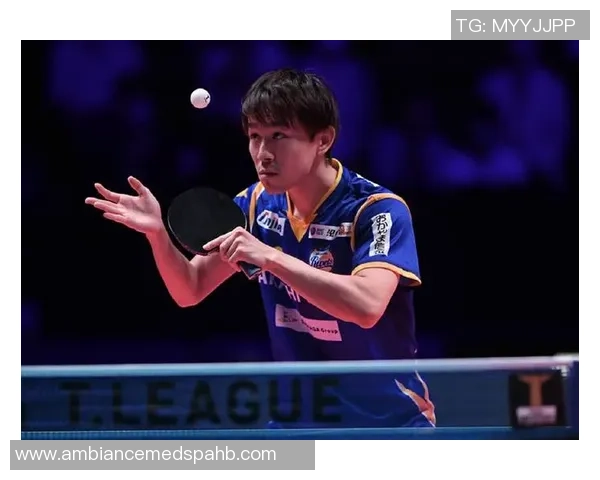 专业解读：深圳乒乓球队的反击打法