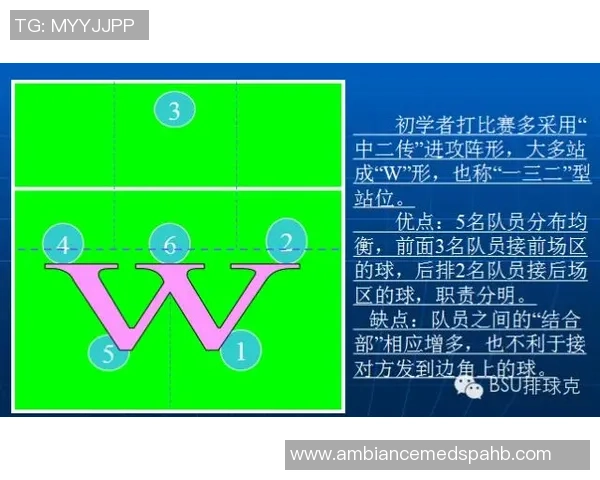 排球战术:南京排球队的反击体系 排球战术:南京排球队的反击体系